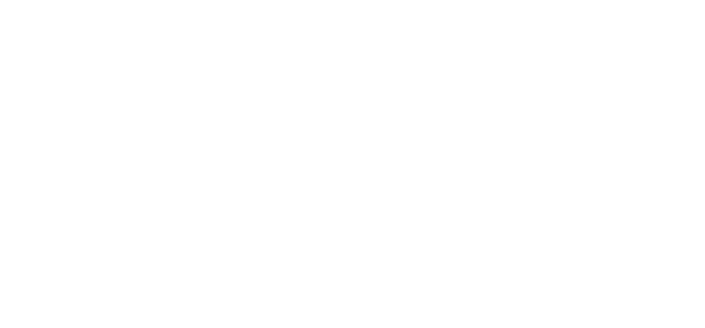 Stonewall Forever Logo