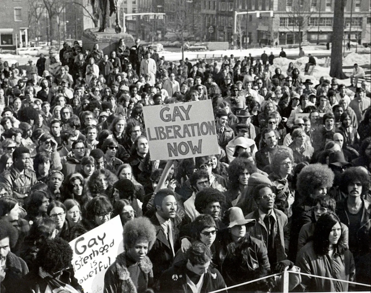 Crowds gathered at the March on Albany, 1971